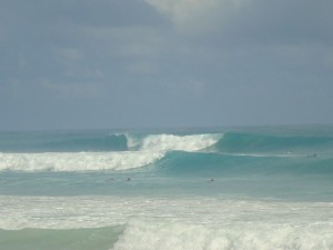 playa del macao, federación dominicana de surfing