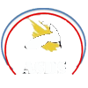 ASDS logo fedosurf
